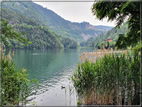 foto Lago di Lases